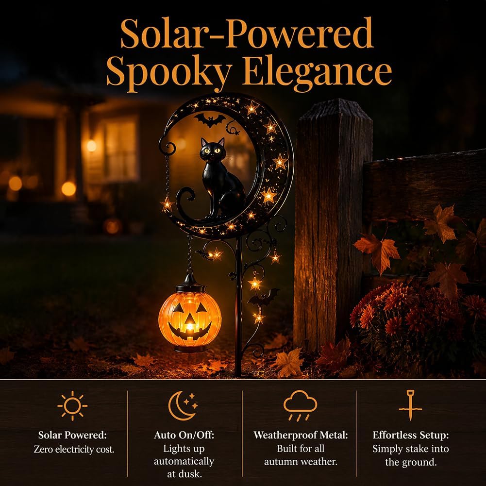 Solar Halloween Black Cat & Pu - Outdoor Lighting Ground recension och pris
