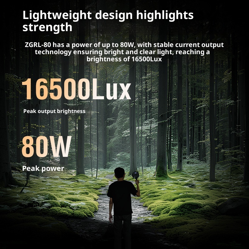 ZGRL80 80W COB LED Video Light - Outdoor Lighting In Photography recension och pris